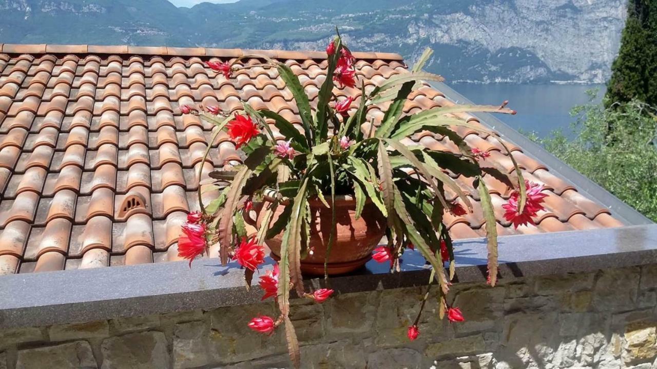브렌조네 술 가르다 Casa Valenti 아파트 외부 사진