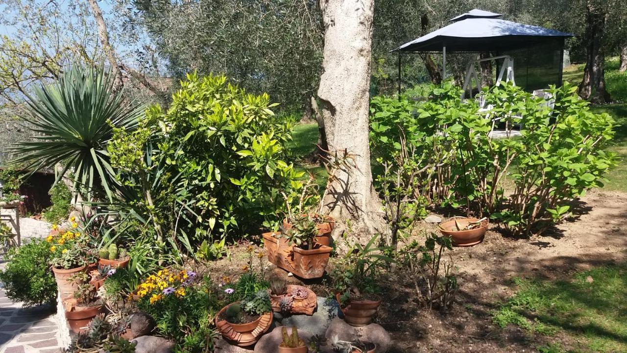 브렌조네 술 가르다 Casa Valenti 아파트 외부 사진